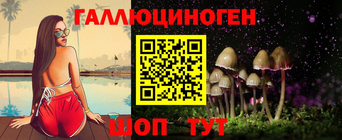 Галлюциногенные грибы Psilocybine cubensis  Псилоцибиновые грибы MAGIC MUSHROOMS  Вход с VPN  Азов 